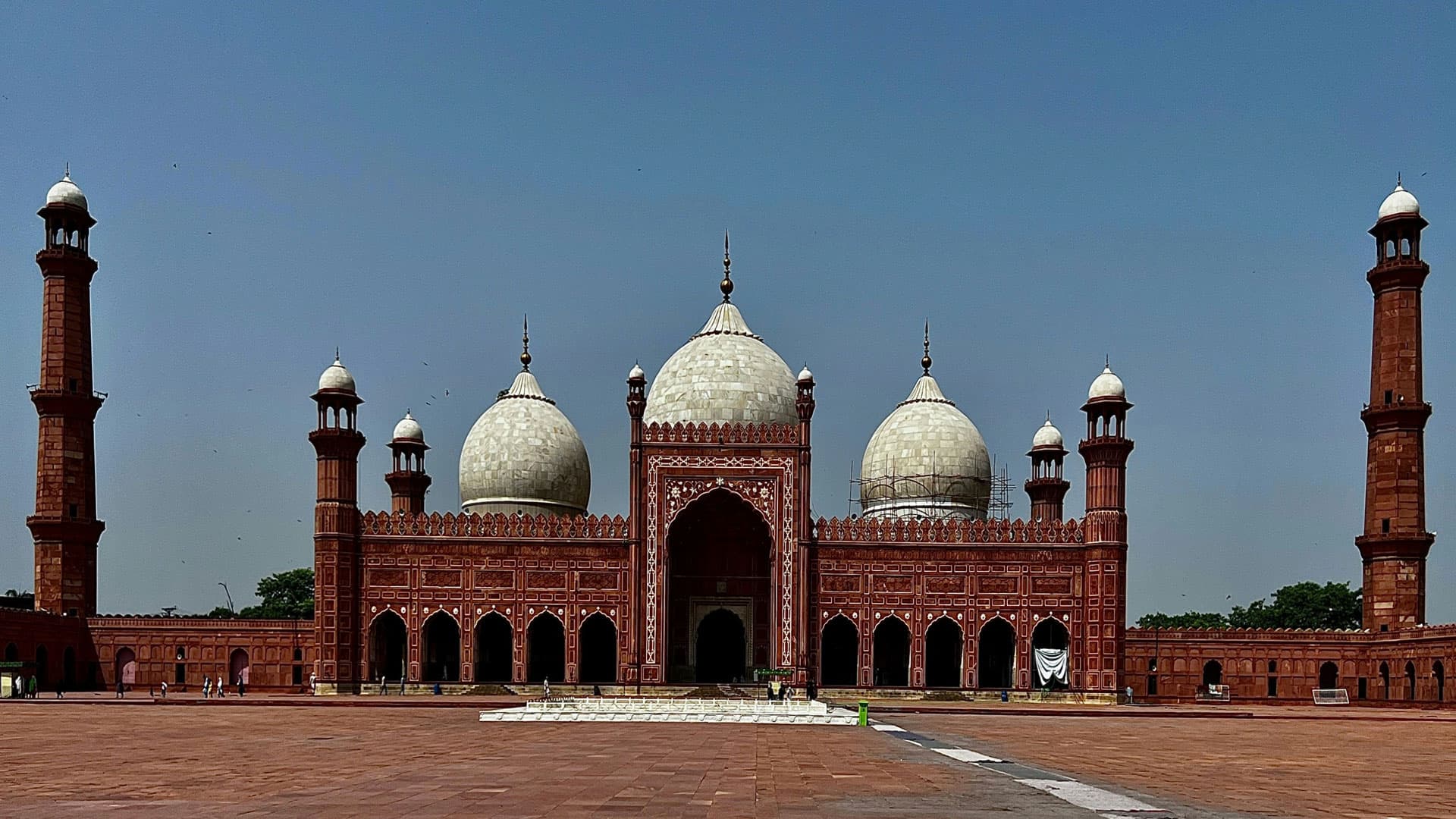 Designing High-Impact Wellness Programs